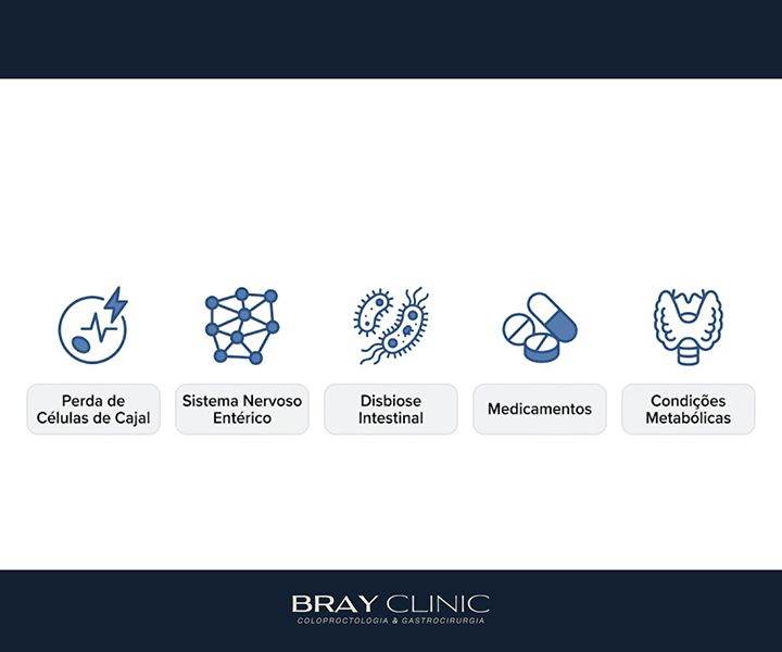 Como tratar a inércia colônica e devolver o movimento ao intestino