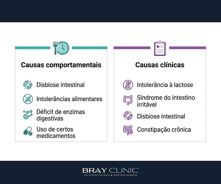 Gases intestinais: por que acontecem e o que fazer para aliviar